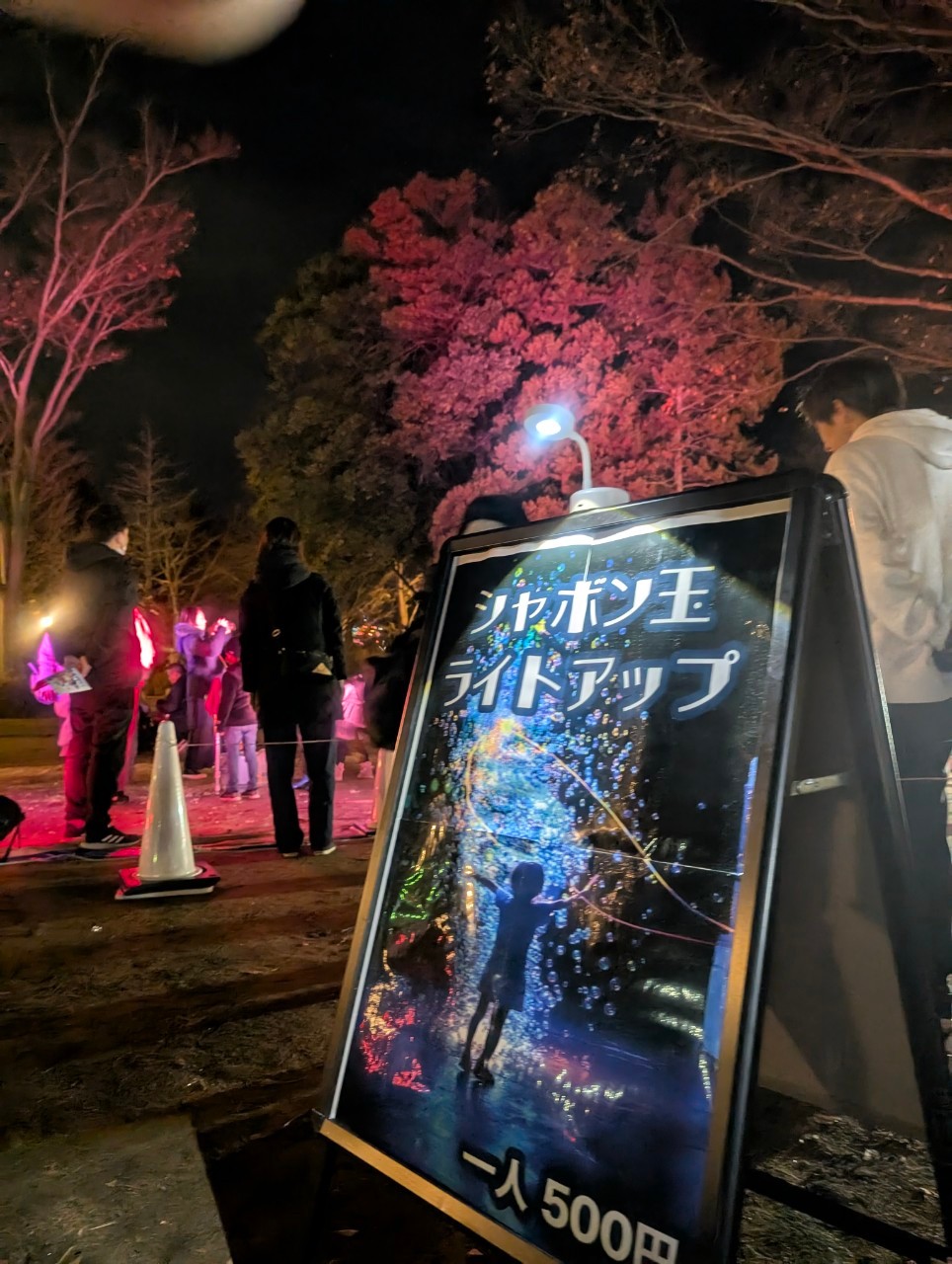 2025 SENDAI光のページェント