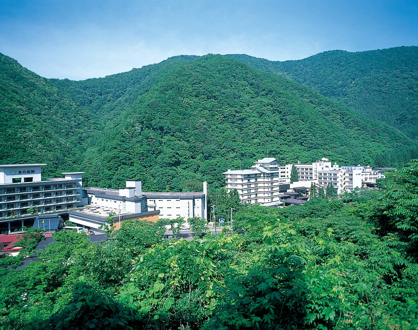 2025 SENDAI光のページェント